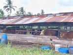 IMG-20260520-WA0038